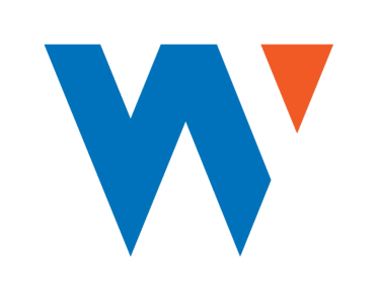 Wiser Solutions